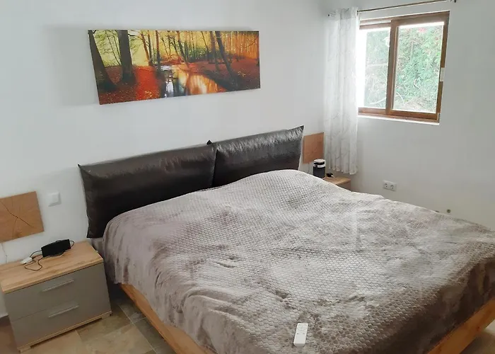 Schoene In Mit Garten. *