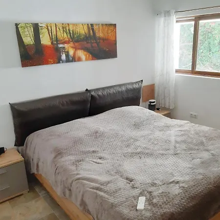 Schoene In Mit Garten. *